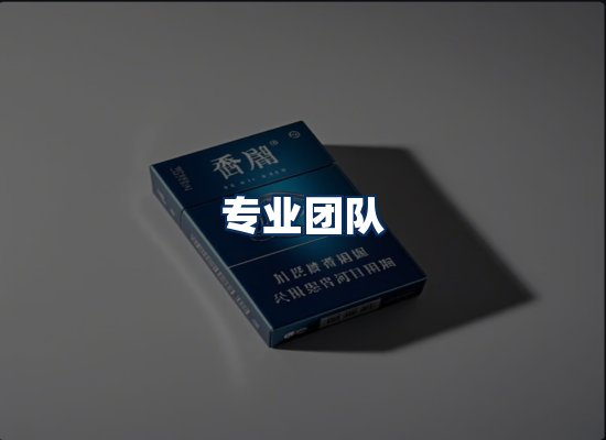 专业团队